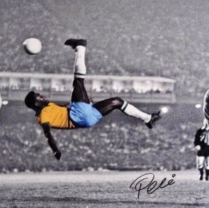 Meet your Posher, Errol